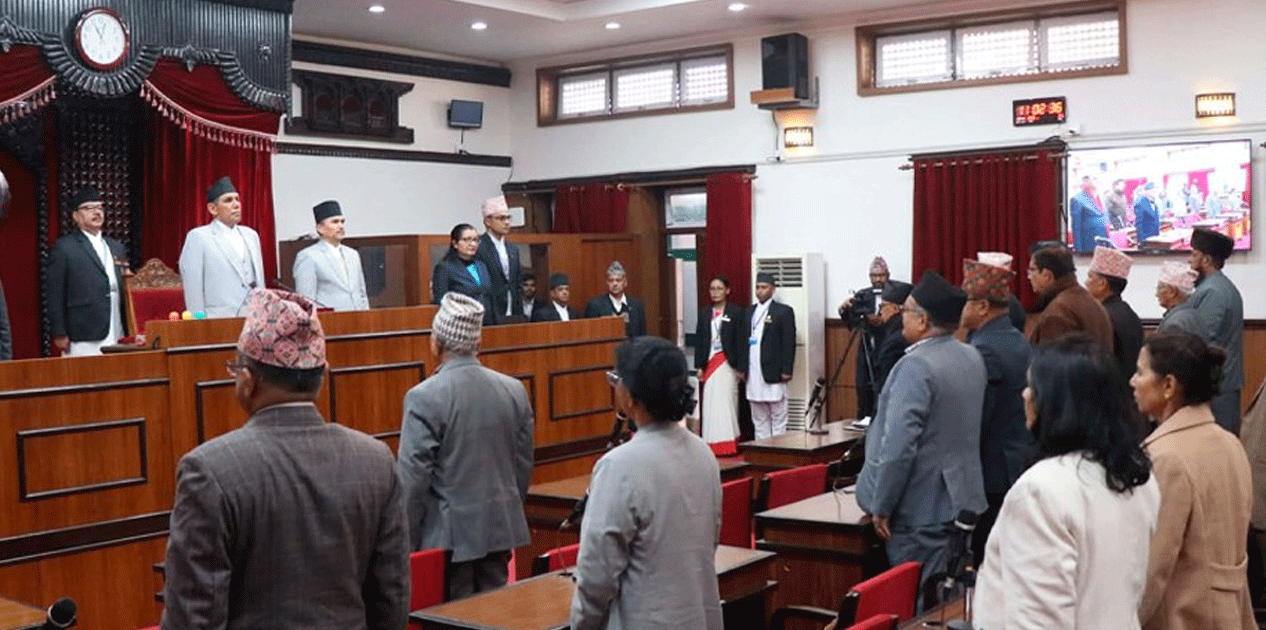 राष्ट्रिय सभामा उपाध्यक्ष र समिति बाँडफाँट