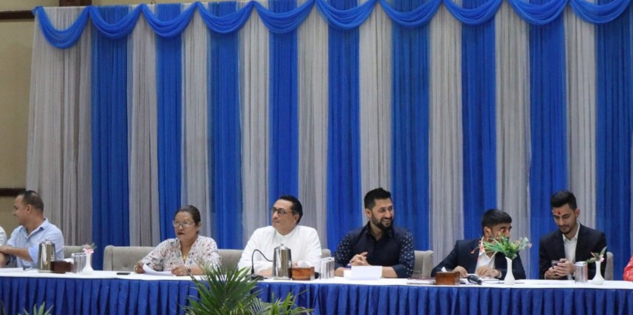 हामी लोकतन्त्रप्रति प्रतिबद्ध छौं : रवि लामिछाने