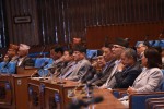 नागरिकता विधेयक प्रतिनिधि सभाबाट पारित