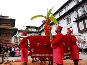 फूलपाती भित्र्याइँदै