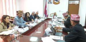 चुनावमा तीन दिन बिदा दिने सरकारको निर्णय