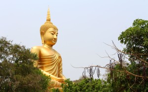 आज २५६९औं बुद्धजयन्ती