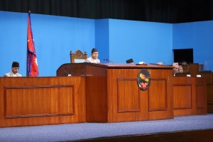 प्रिसा साहको मृत्युबारे सत्यतथ्य छानबिन गर्न सभामुखको रुलिङ