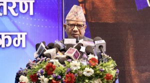 सरकारको रवैया शंकास्पद छ : माधव नेपाल
