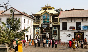 पशुपतिमा सात सय जनशक्ति परिचालन गरिने