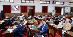 राष्ट्रिय सभामा जनसरोकारका विषयमा सरकारको ध्यानाकर्षण