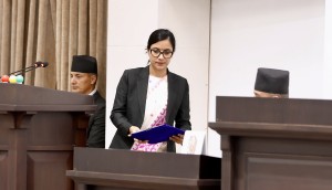 प्रतिनिधिसभाबाट राष्ट्रिय सेवा दल विधेयक पारित