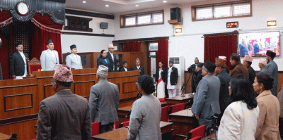 राष्ट्रिय सभामा उपाध्यक्ष र समिति बाँडफाँट