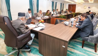 भिजिट भिसा प्रकरणमा उच्चस्तरीय छानबिन समिति गठन