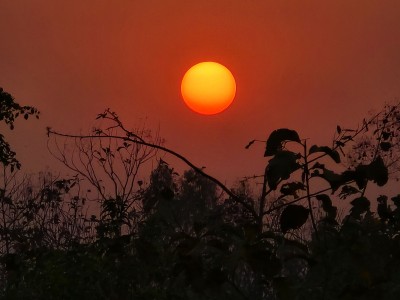 आजदेखि नयाँ वर्ष २०८१ साल शुरु, हर्षोल्लासका साथ मनाइँदै