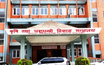 कृषि मन्त्रालयका सहसचिव गैरे बर्खास्त