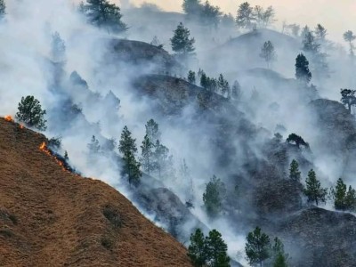 डोल्पा आगलागी घटना : तीनै बालकको मृत्यु