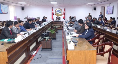 निजी मेडिकल कलेजका आवासीय चिकित्सकलाई समान निर्वाह भत्ता दिने निर्णय