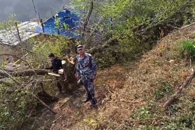 बोधिचित्तको रुख काटेको आरोपमा चार जना पक्राउ
