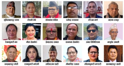 राष्ट्रिय सभामा कांग्रेस पहिलो दल