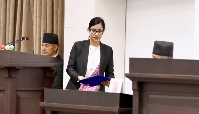 प्रतिनिधिसभाबाट राष्ट्रिय सेवा दल विधेयक पारित