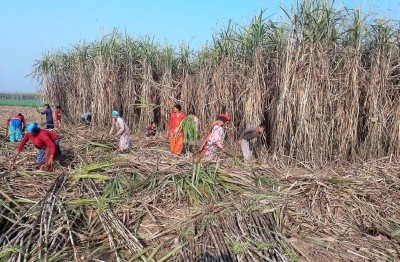 उखु किसान आन्दोलित, अनुदान माग