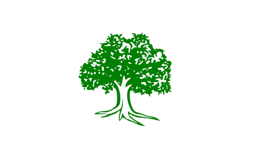 कैलाली–२ मा कांग्रेसको अग्रता