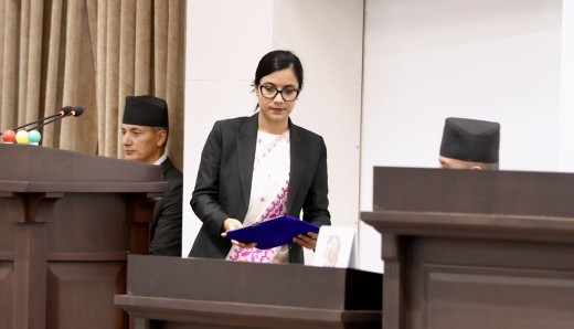 प्रतिनिधिसभाबाट राष्ट्रिय सेवा दल विधेयक पारित