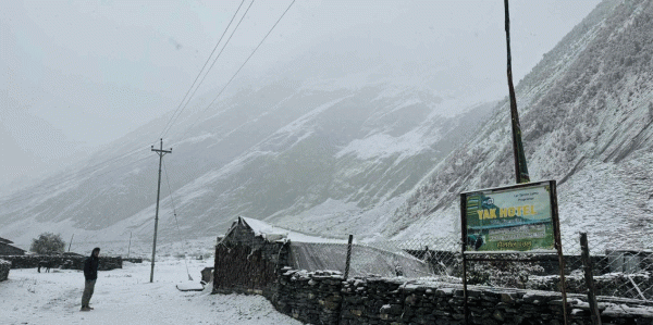 उत्तरी गोरखामा हिमपात हुँदा मनास्लु क्षेत्र भ्रमणमा गएका पर्यटक प्रभावित