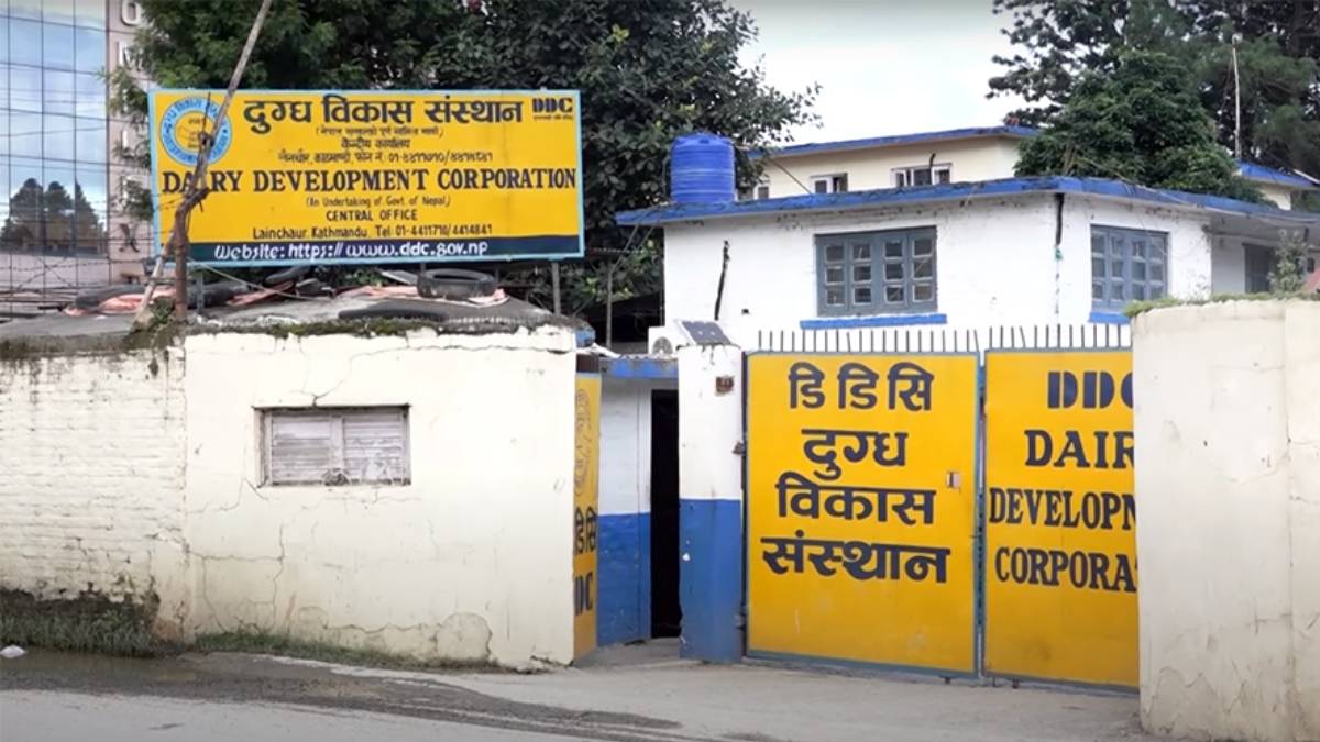 दुग्ध विकास संस्थानले तिर्यो ३१ वर्षको सम्पत्ति कर