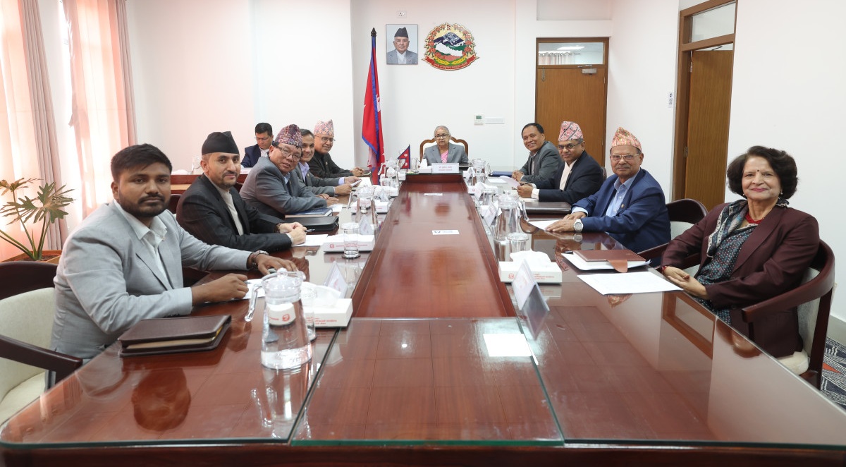 जेनजी आन्दोलनमा मृत्यु भएका ४५ जना शहीद घोषणा