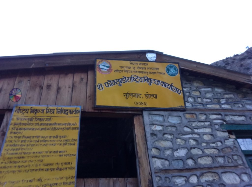 डोल्पामा जडीबुटीसहित चार जना पक्राउ