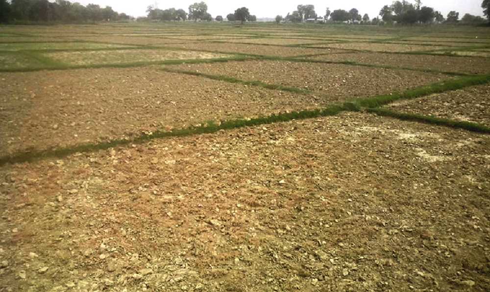 कृषियोग्य जमिन बाँझो राख्न नपाइने