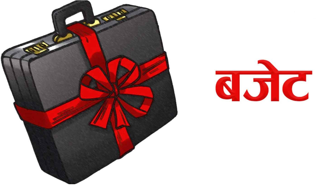 आज बजेट सार्वजनिक हुँदै