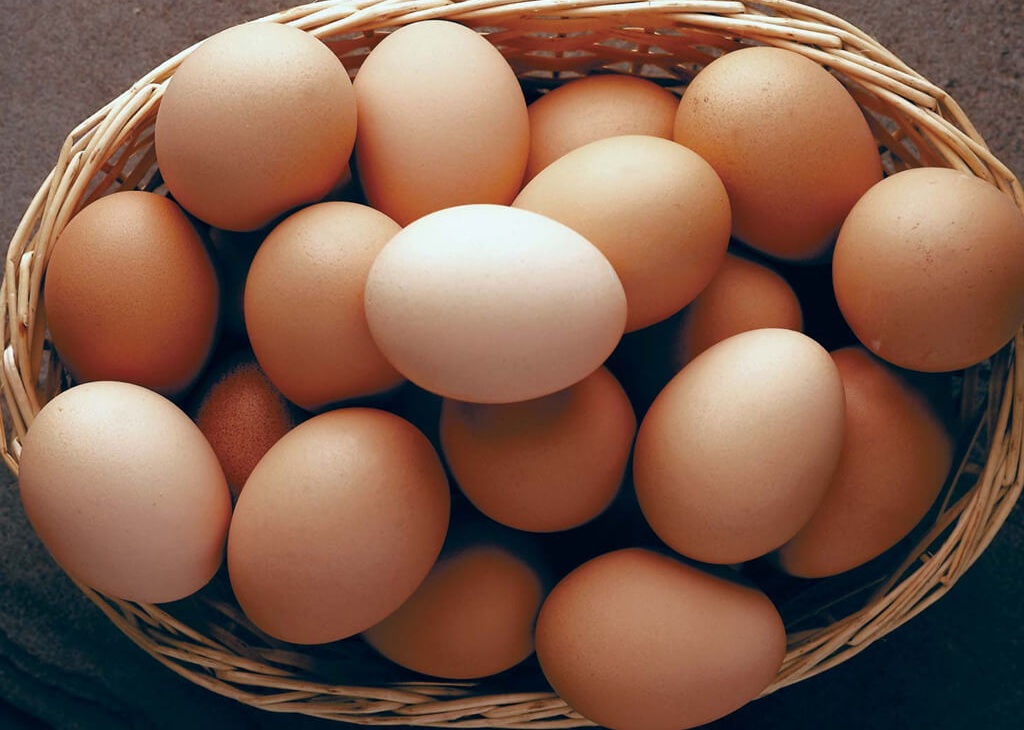 अण्डाको मूल्य हालसम्मकै उच्च