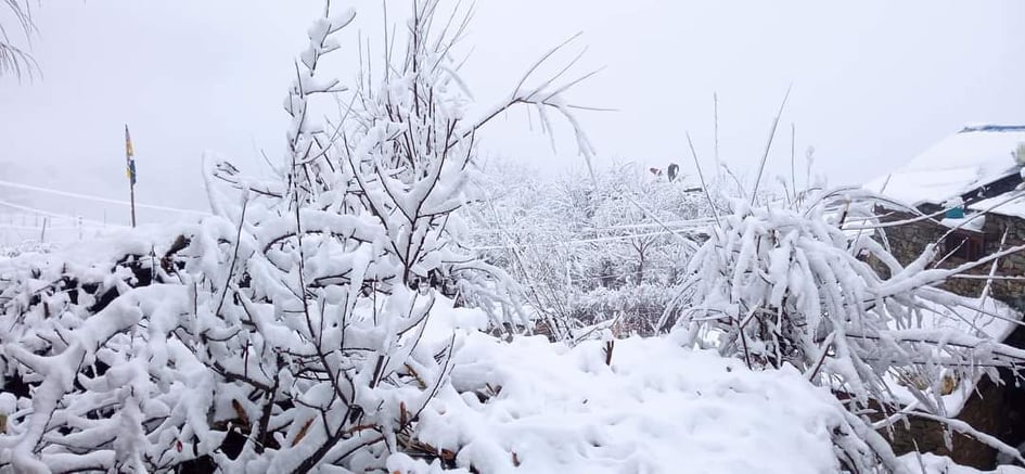 हिमपात र शीतलहरबाट ५० जिल्ला प्रभावित हुने अनुमान