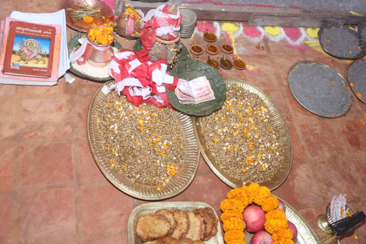 दसैंघरमा राखियो जमरा