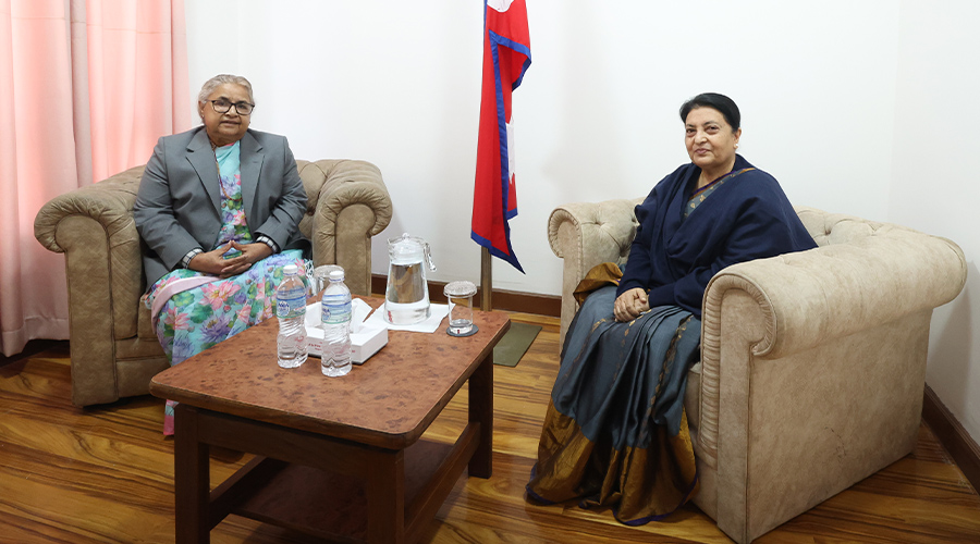 प्रधानमन्त्री कार्की र पूर्वराष्ट्रपति भण्डारीबीच भेटवार्ता