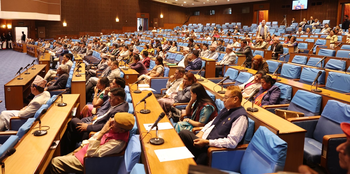 नीति तथा कार्यक्रम प्रतिनिधिसभाबाट पारित